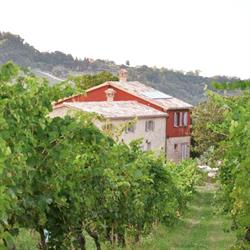 Casa Pietrone, Cupramontana orari di apertura