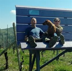 Affittacamere Stay Bel Piemonte, Dogliani orari di apertura