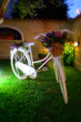 Un Fiore, Santa Marinella orari di apertura