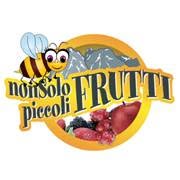 Non Solo Piccoli Frutti di Bonariva Marcella, Lozio orari di apertura