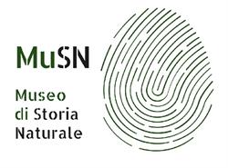 Museo di storia naturale, Foggia orari di apertura