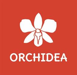 Pizzeria Orchidea, Bologna orari di apertura