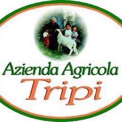 Azienda Agricola Tripi, Castronovo di Sicilia orari di apertura