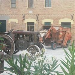 Agriturismo Fattoria Della Rovere Terre Roveresche, Orciano Di Pesaro - Orari di apertura