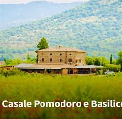 Il Casale Pomodoro e Basilico, Palestrina orari di apertura