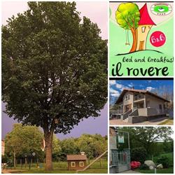 B&B il rovere Gattico-Veruno, Gattico - Orari di apertura