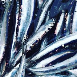 Pescheria Gastronomia L’Acciuga, Viareggio orari di apertura