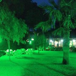 Bar Green Park, Metaponto orari di apertura