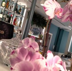Bar Pasticceria Valentina, Isola delle Femmine orari di apertura