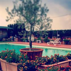 Agriturismo Le Rondinelle, Valiano orari di apertura