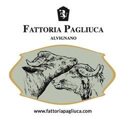 Fattoria Pagliuca, Alvignano orari di apertura