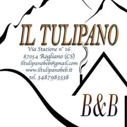 B&B Il Tulipano, Rogliano orari di apertura