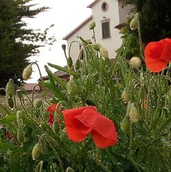Agriturismo I Duchi Pellegrini, Santa Maria Nuova orari di apertura