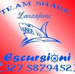 Escursioni Team Shark Lanzafame, Porticello orari di apertura
