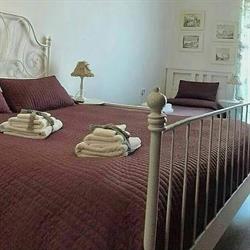B&B San Vitale, Bologna orari di apertura