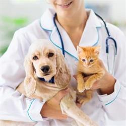 Ambulatorio Veterinario StabiaVet, Castellammare di Stabia orari di apertura