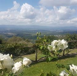 Casa Sesta, Loro Ciuffenna orari di apertura