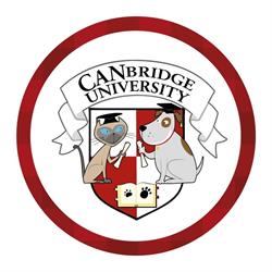 CANbridge University, Napoli orari di apertura