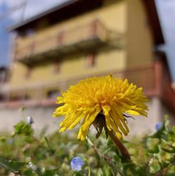 B&B Tomaselli Castel Ivano, Strigno - Orari di apertura