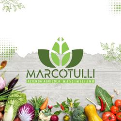 Azienda Agricola Marcotulli Massimiliano, Borgo Quinzio orari di apertura