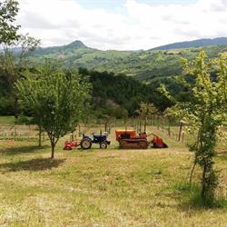Agriturismo Villa Valente (Agricamping in Le Marche), Penna San Giovanni orari di apertura
