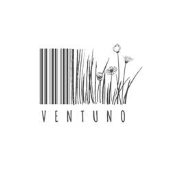 Ventuno Store Santa Maria di Sala, Caltana - Orari di apertura