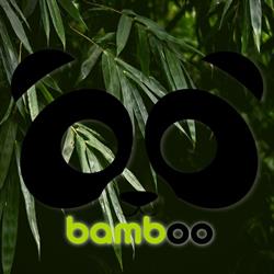 Bamboo Pub, Oglianico orari di apertura