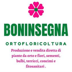 Piante e Sementi di Stefano Boninsegna, Trevenzuolo orari di apertura