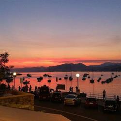 Pelagica A Ridosso, Sestri Levante orari di apertura