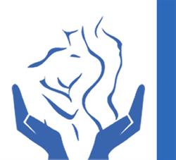 Dott.ssa Osteopata - Medicina manuale - Silvia Vitale, Roma orari di apertura