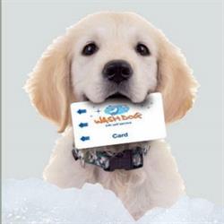 WASH DOG Firenze Novoli, orari di apertura