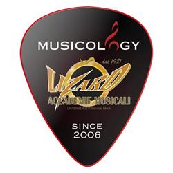 Musicology, Modena orari di apertura