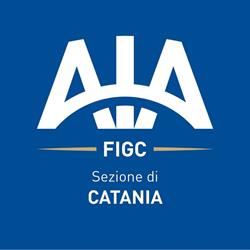 AIA Sezione di Catania, orari di apertura
