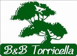 Bed & Breakfast Torricella, San Giorgio di Piano orari di apertura