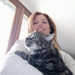 B&B I Gatti del Castello, Bracciano orari di apertura