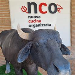 Nuova Cucina Organizzata, Casal di Principe orari di apertura