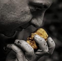 Truffle In Tuscany, San Miniato orari di apertura
