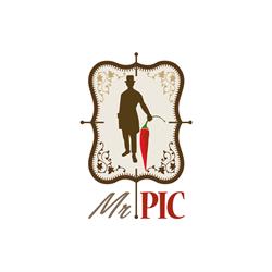 Mr PIC, Torre del Lago Puccini orari di apertura