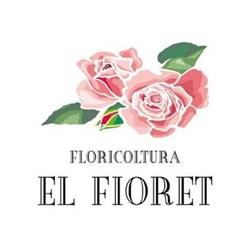 El Fioret, Santa Lucia di Piave orari di apertura