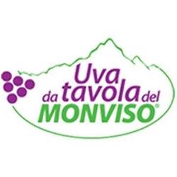 Uva da tavola del Monviso, Pagno orari di apertura