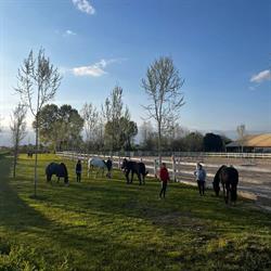 Centro Equestre Leoncavallo, Abano Terme orari di apertura