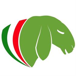 Allevamento Veneto Ovini, Anguillara Veneta orari di apertura