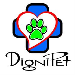 Dignipet, cimitero per animali e cremazioni immediate con restituzione delle ceneri in urna., Gavorrano orari di apertura