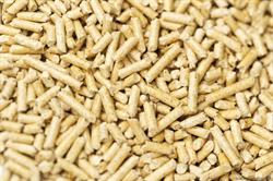 B-ENERGY PELLET, Sandigliano orari di apertura