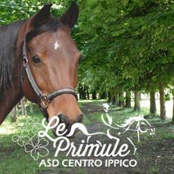 ASD CENTRO IPPICO LE PRIMULE, Bellusco orari di apertura