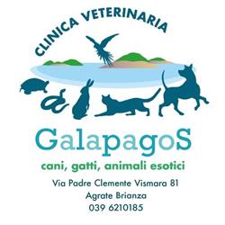 Clinica Veterinaria Galapagos, Agrate Brianza orari di apertura