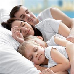 Sapore di Sonno - Materassi & Reti, Argenta orari di apertura
