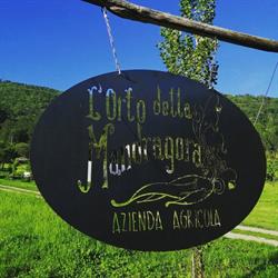Azienda agricola L'orto della Mandragora, Palazzo Canavese orari di apertura