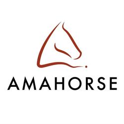 AmaHorse Trading srl, San Giustino orari di apertura