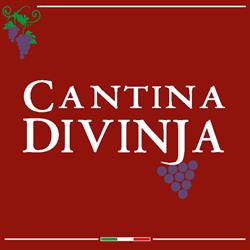 Cantina Divinja, Sorbara orari di apertura